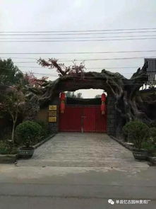 鶴壁景觀古樹大門施工與工程技術咨詢服務