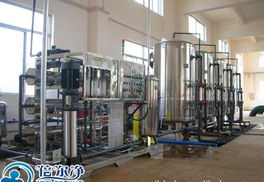 5t/h大型純水機 倍爾凈工程型生產線用純水設備，廠價直銷、專業咨詢一站式服務